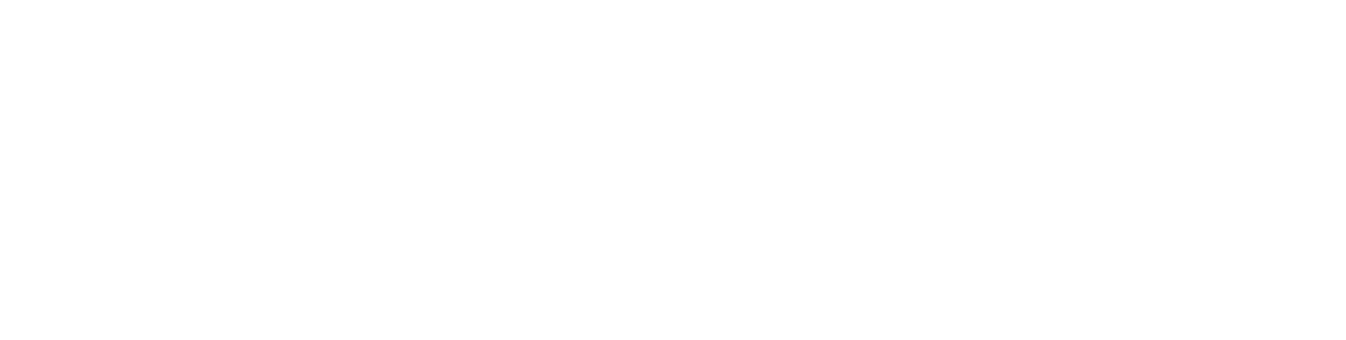 Ancho logo, light version