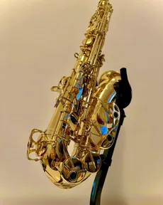 Instagram photo by @dirkonsax